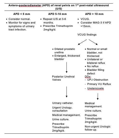 Nephrologic Disorders - Toronto Centre for Neonatal Health